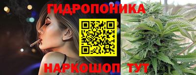 крисы Заводоуковск