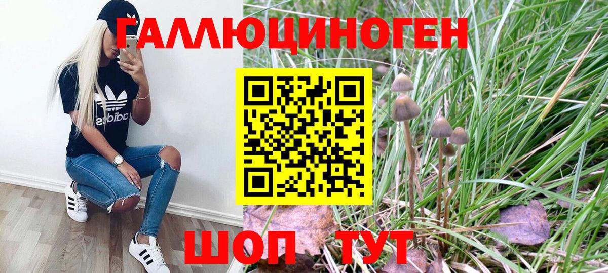 Псилоцибиновые грибы Magic Shrooms Лангепас